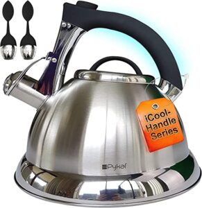 Best whistling tea kettle